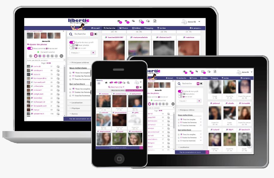 Libertic interface du réseau social libertin